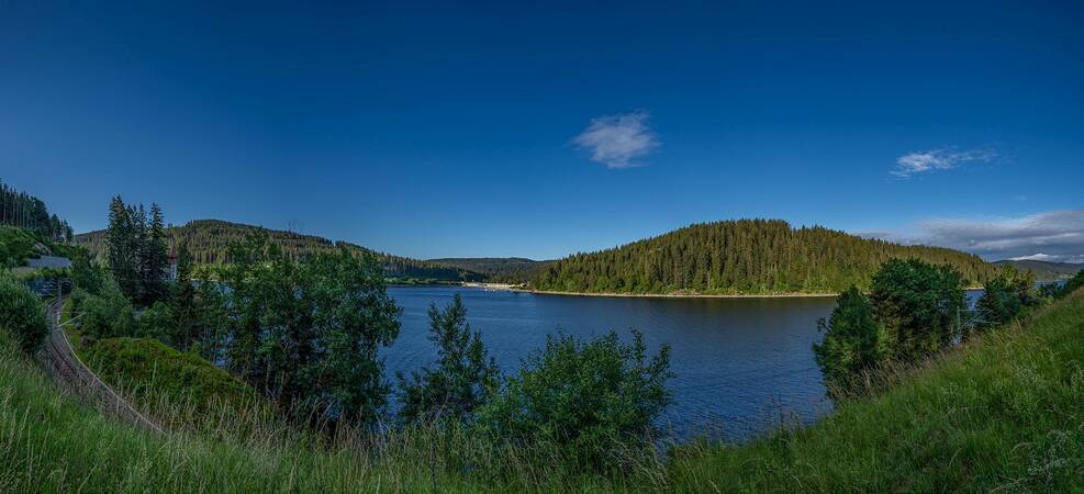 Blick auf einen See, der von grünen Wäldern umgeben ist, der Himmel ist strahlend blau