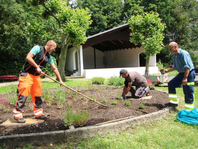 Zwei Männer und eine Frau arbeiten in einem Gartenbeet, und pflanzen und pflegen Blumen in einer parkähnlichen Umgebung.