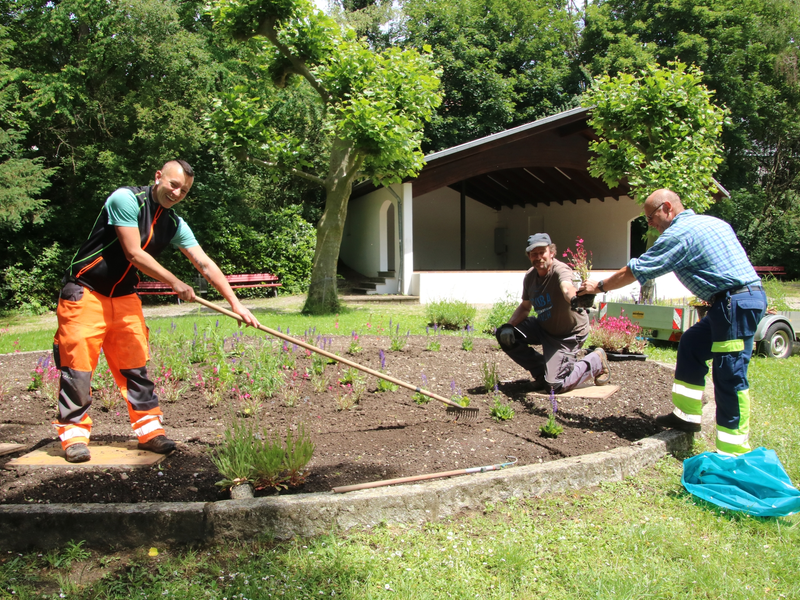 Zwei Männer und eine Frau arbeiten in einem Gartenbeet, und pflanzen und pflegen Blumen in einer parkähnlichen Umgebung.