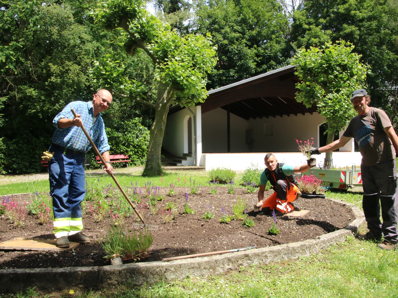 Zwei Männer und eine Frau arbeiten in einem Gartenbeet, und pflanzen und pflegen Blumen in einer parkähnlichen Umgebung.