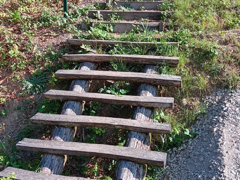 Eine rustikale Holztreppe führt auf einem grasbewachsenen Hügel nach oben, begleitet von einem Schild links.