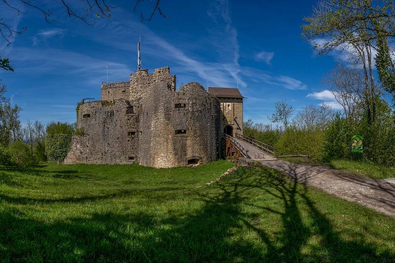 Das Bild zeigt die mittelalterliche Ruine der Küssaburg umgeben von grünen Bäumen und einer Wiese unter einem blauen Himmel.