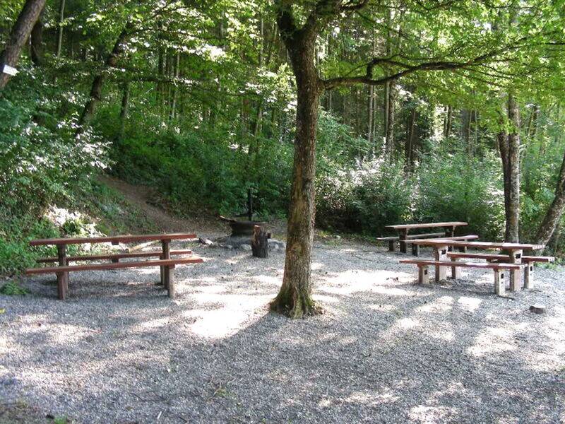 Rast- und Grillplatz am Waldrand auf einem halbschattigen Kiesplatz, in der Mitte ein großer freistehender Baum umgeben von mehreren Holzsitzbänken und Tischen, im Hintergrund am Waldrand eine Grillstelle, 