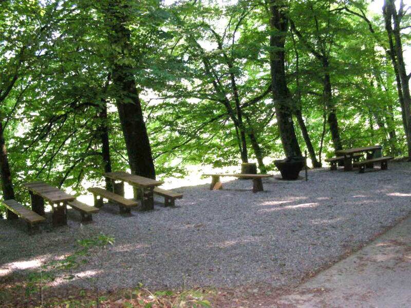 Rast- und Grillplatz am Waldrand auf einem halbschattigen Kiesplatz, Blick auf eine lichtdurchflutende Baumreihe als Abgrenzung zu einer Wiese, vor der Baumreihe mehreren Holzsitzbänken und Tische, in der Mitte eine Grillstelle,