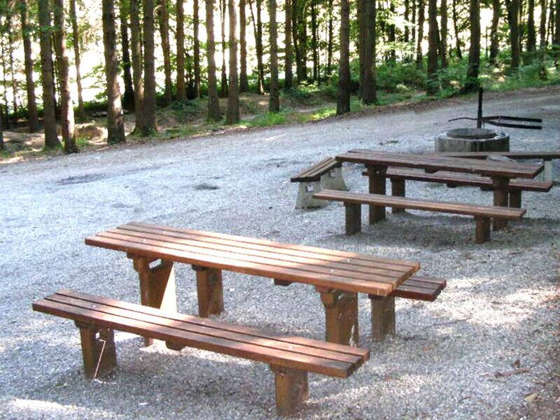 Rast- und Grillplatz am Waldrand auf einem halbschattigen Kiesplatz, Blick auf eine lichtdurchflutende Baumreihe als Abgrenzung zu einer Wiese, vor der Baumreihe mehreren Holzsitzbänken und Tische, in der Mitte eine Grillstelle,