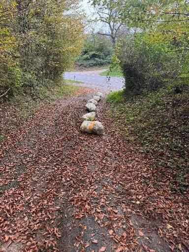 schmaler Waldweg mit mehreren gelben Säcken in einer Reihe 