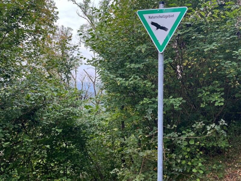 Ein dick grün umrandetes weißes dreieckiges Schild mit der Aufschrift "Naturschutzgebiet" und der Silhouette eines fliegenden Vogels steht vor einem dichten Waldgebiet.